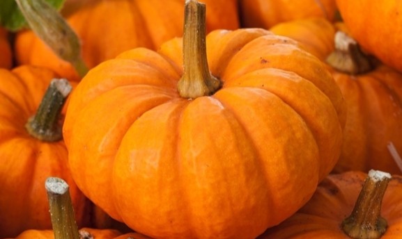 Read more about the article Dzień Dyni w naszym przedszkolu