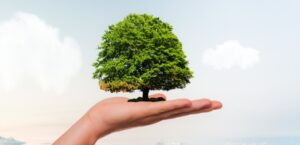 Read more about the article Eko-awantura z okazji Dnia Ziemi w Przedszkolu Miejskim nr 2 w Piastowie